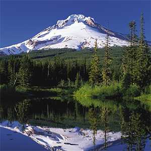 Mount Hood 